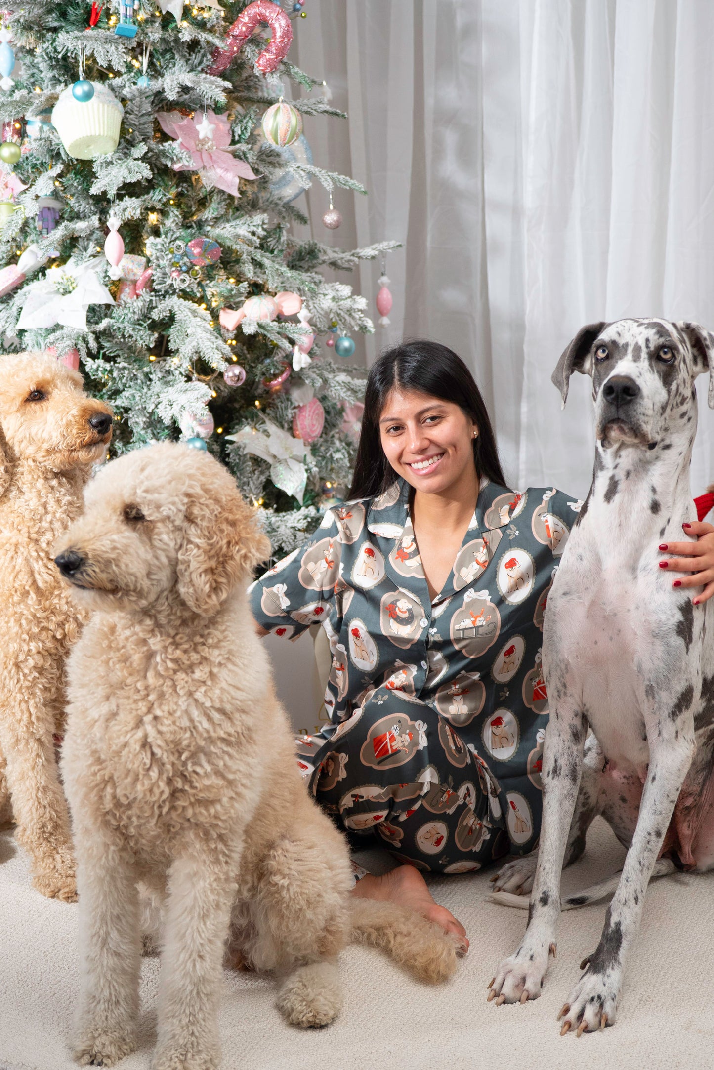 Retratos Navideños Perritos